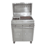 Stainless Steel Gas Grill